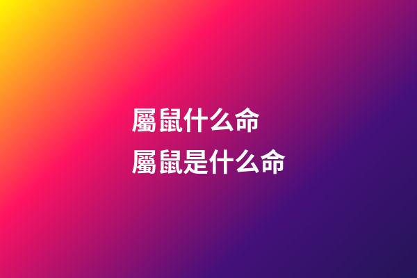 屬鼠什么命 屬鼠是什么命-第1張-觀點-玄機派